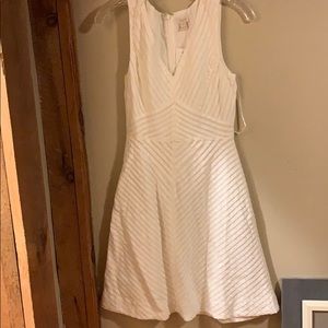 Brand new with tags J Crew dress